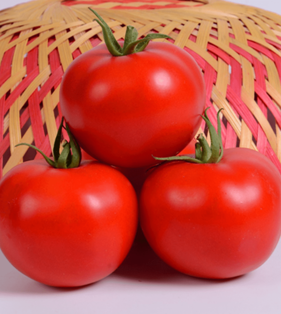 tomato 1