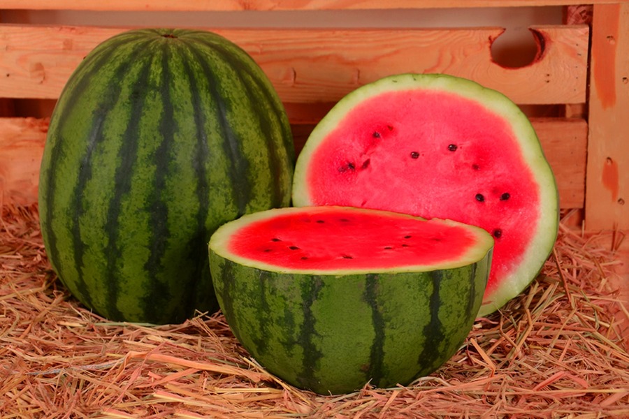 watermelon